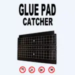 glue-pad-catcher-1