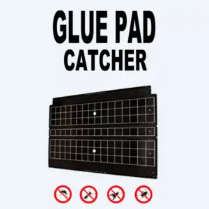 glue-pad-catcher-1