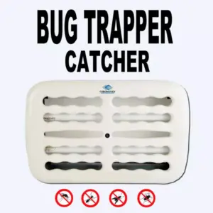 web-fly-catcher-2-1